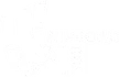 Windows 4 You
